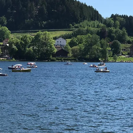 Res Aubepine 100m Du Appt 4 Personnes * Gérardmer